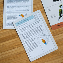Load image into Gallery viewer, Sibley Bird Flashcards