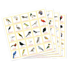 Load image into Gallery viewer, Bird Bingo