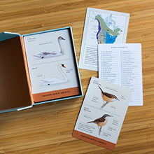 Load image into Gallery viewer, Sibley Bird Flashcards
