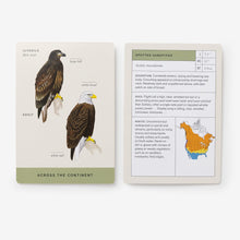 Load image into Gallery viewer, Sibley Bird Flashcards