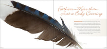 Load image into Gallery viewer, Feathers - A Beautiful Look