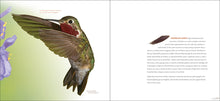Load image into Gallery viewer, Feathers - A Beautiful Look