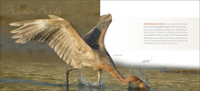 Load image into Gallery viewer, Feathers - A Beautiful Look