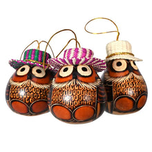 Load image into Gallery viewer, Panama Hat Owl Gourd
