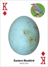 Load image into Gallery viewer, Bird Eggs Playing Cards