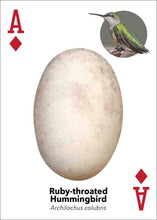 Load image into Gallery viewer, Bird Eggs Playing Cards