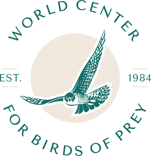 Homeschool Tour of the World Center for Birds of Prey