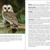 Birds of Prey of the Northeast Field Guide 2nd Edition