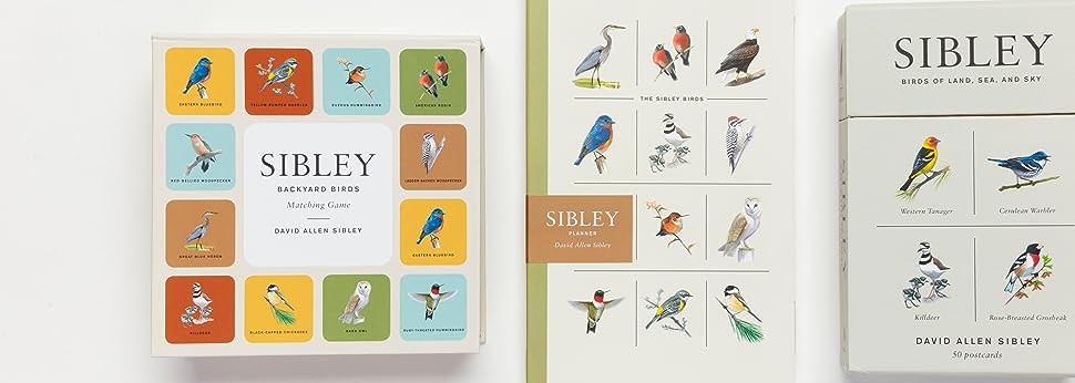Sibley's Backyard Birds Matching Game