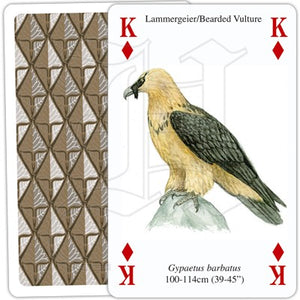 Birds of Prey Playing Cards