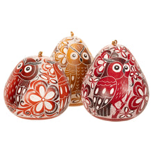 Load image into Gallery viewer, Owl Trio Design - Laced Bird Gourd Ornament