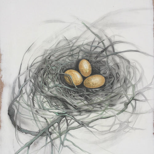 Nest Drawing Workshop with Jen Smith