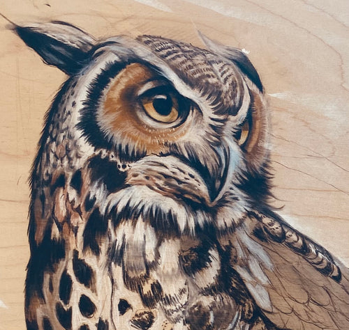 Drawing an Owl from Still Life with Jen Smith