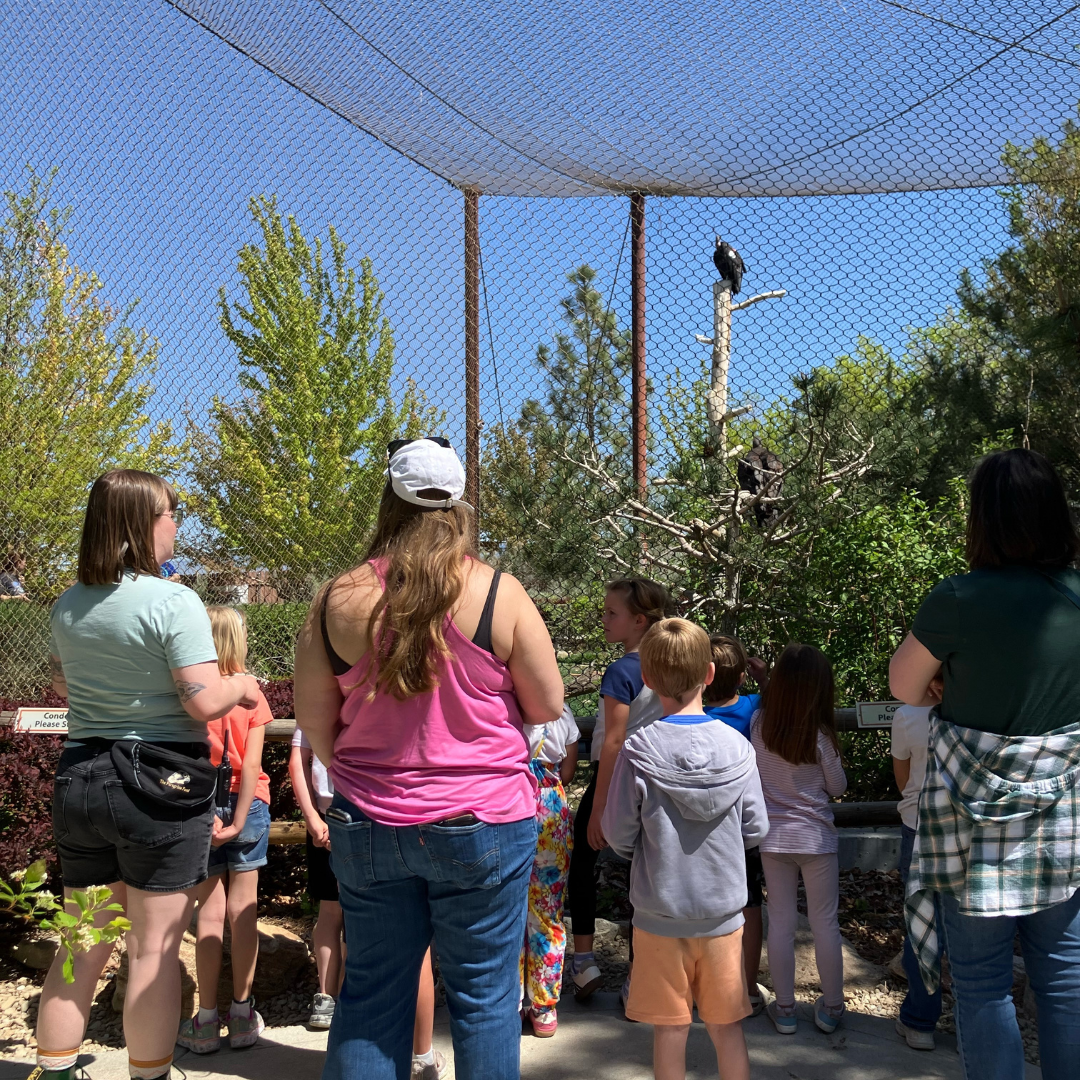 Homeschool Tour of the World Center for Birds of Prey