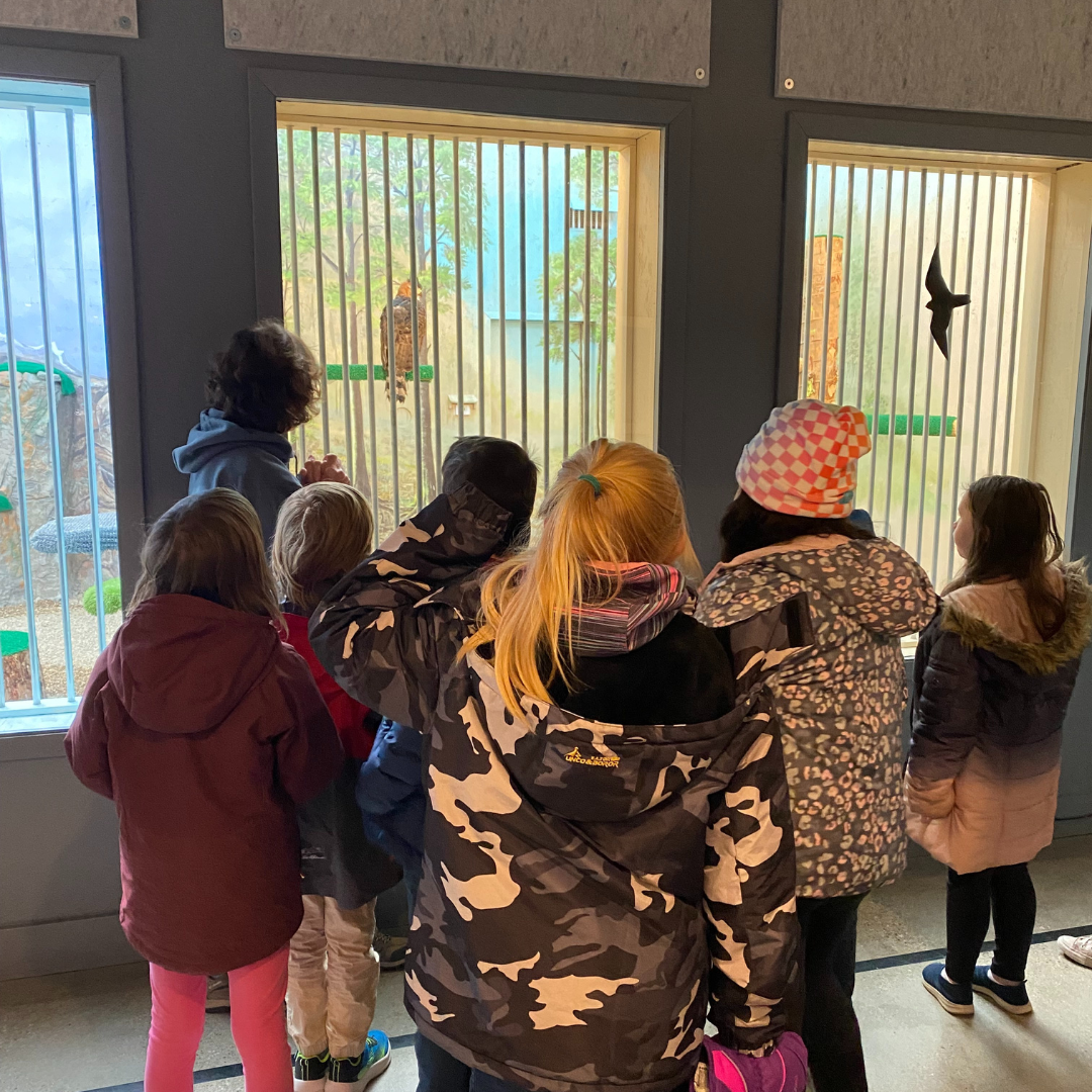 Homeschool Tour of the World Center for Birds of Prey