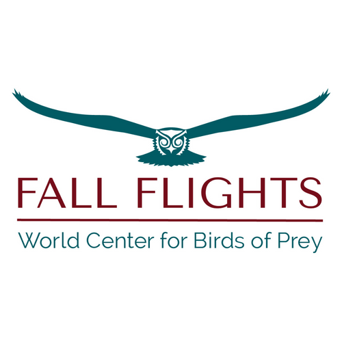 2025 Fall Flights at the World Center for Birds of Prey!