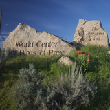Reserved admission to the World Center for Birds of Prey
