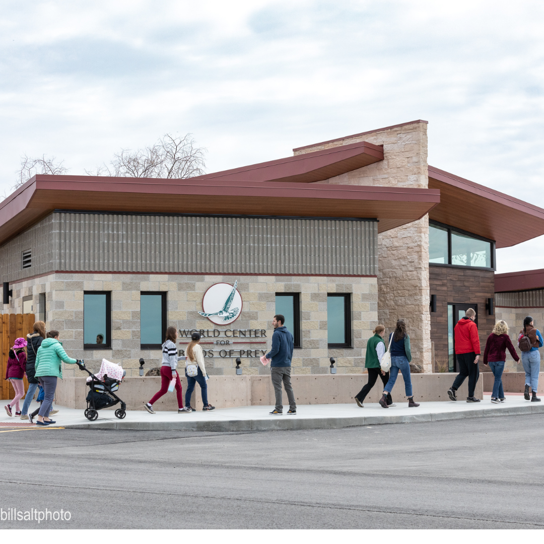 Reserved admission to the World Center for Birds of Prey