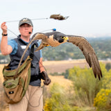 2026 Fall Flights at the World Center for Birds of Prey!