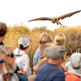 2026 Fall Flights at the World Center for Birds of Prey!