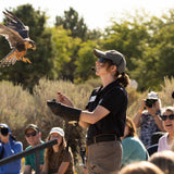 2026 Fall Flights at the World Center for Birds of Prey!
