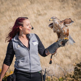 2026 Fall Flights at the World Center for Birds of Prey!
