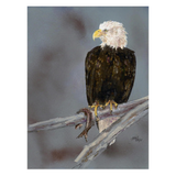 Art With Impact Reception at the World Center for Birds of Prey