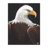 Art With Impact Reception at the World Center for Birds of Prey