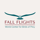 2026 Fall Flights at the World Center for Birds of Prey!