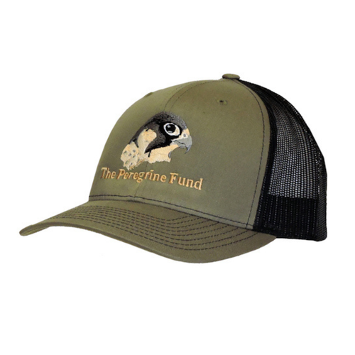 Peregrine Falcon logo trucker hats