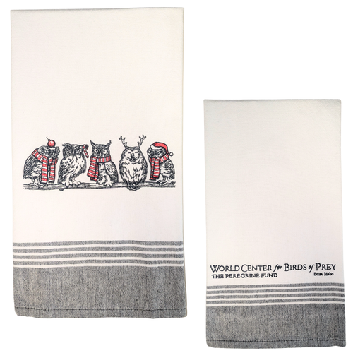 Holiday Embroidered Dish Towels