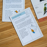 Sibley Birders Trivia