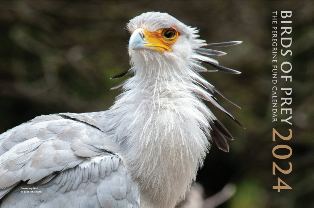 2024 Birds of Prey Calendar