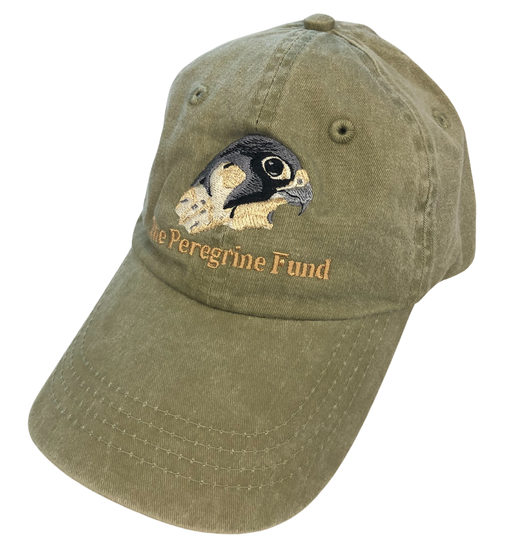 Peregrine Falcon logo unstructured hats