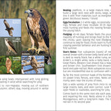 Birds of Prey of the Northeast Field Guide 2nd Edition