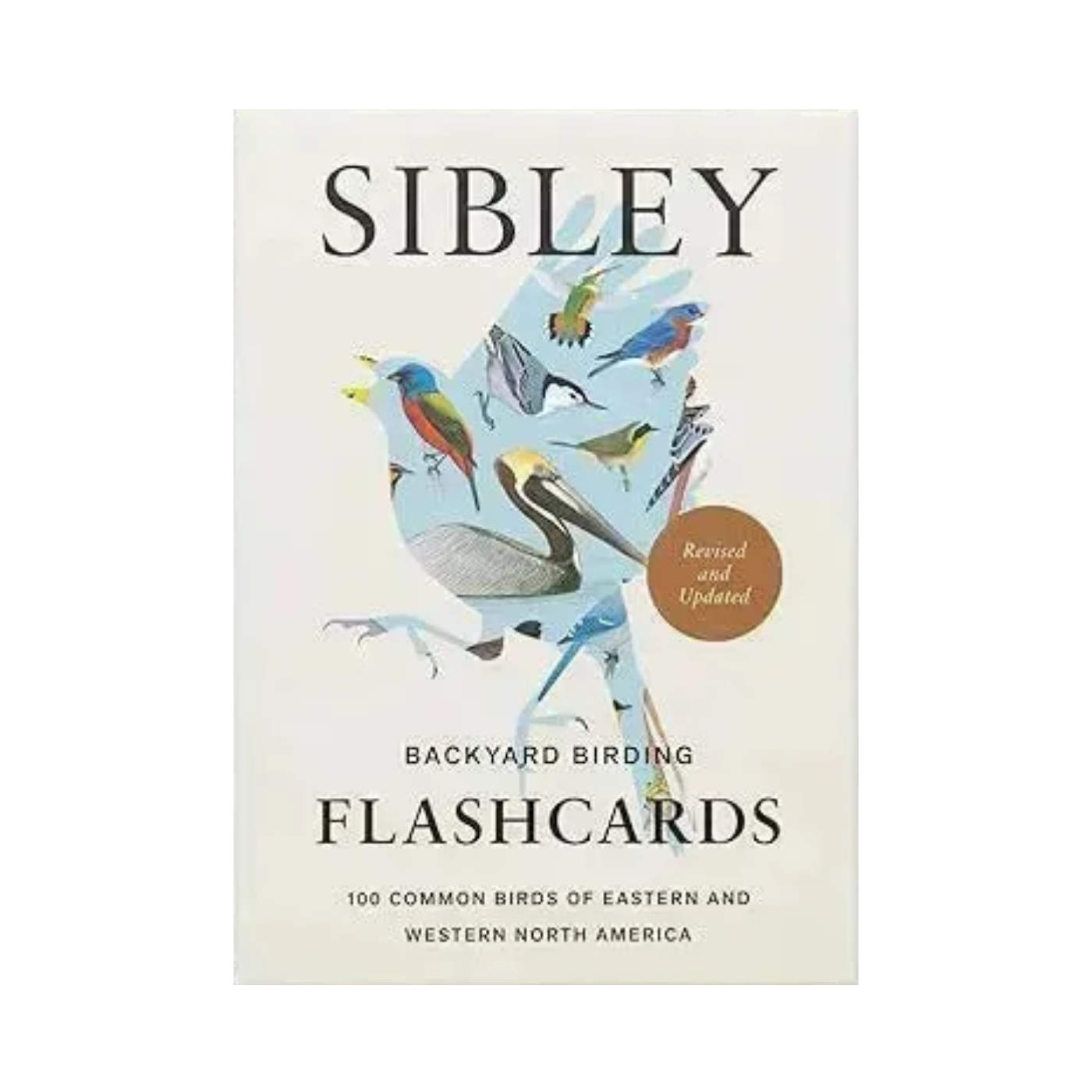 Sibley Bird Flashcards
