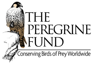 The Peregrine Fund