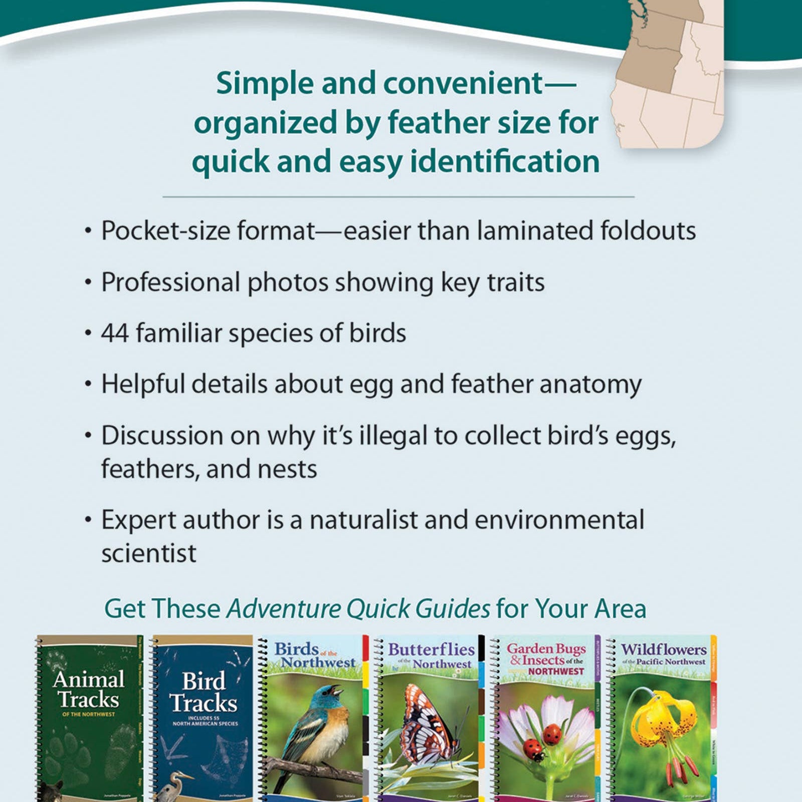 Bird Feathers & Eggs of the Pacific Northwest Quick Guide