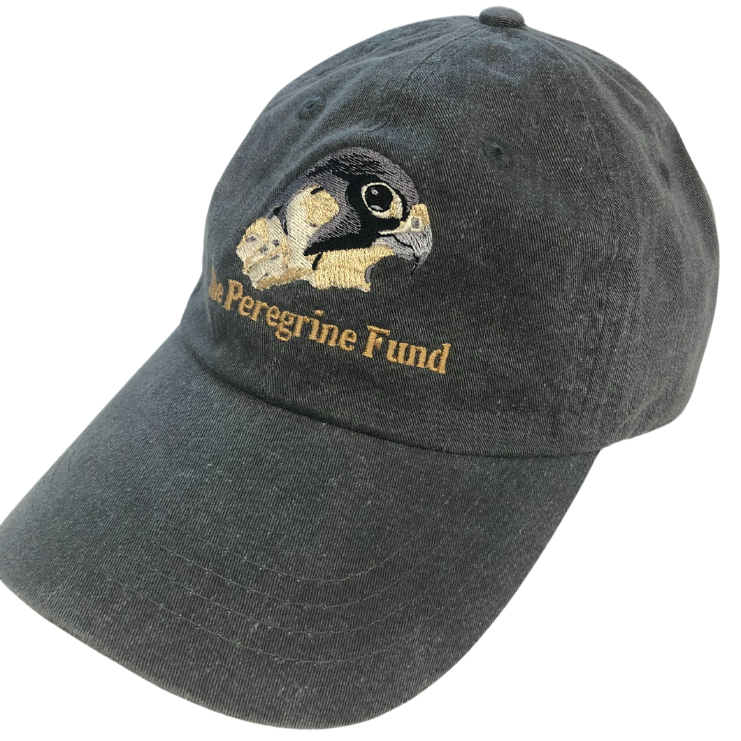 Peregrine Falcon logo unstructured hats