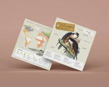 Load image into Gallery viewer, 3D Paper Raptor