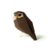 3D Paper Raptor