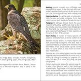 Birds of Prey of the Northeast Field Guide 2nd Edition