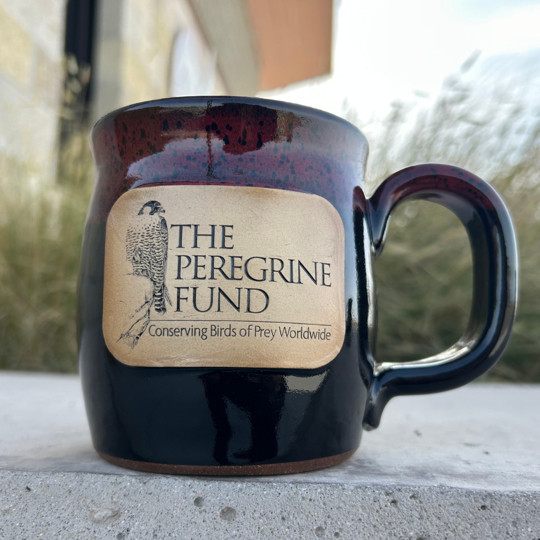 The Peregrine Fund & World Center for Birds of Prey ceramic mugs