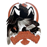 Family Cathartidae - Vulture Vinyl Sticker