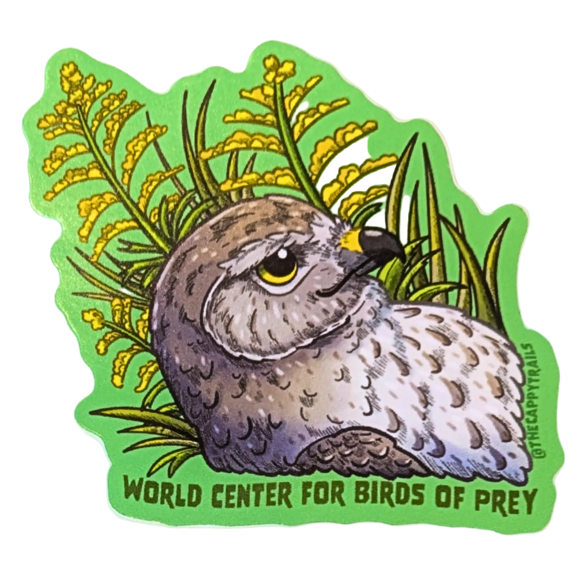 Slide image