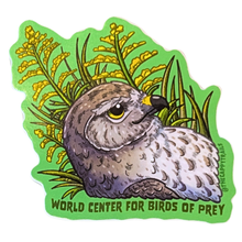 Load image into Gallery viewer, World Center for Birds of Prey Cappy Trails Stickers