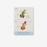 Sibley Bird Flashcards
