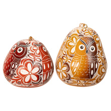 Load image into Gallery viewer, Owl Trio Design - Laced Bird Gourd Ornament