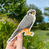 Allison Stoiser Stickers