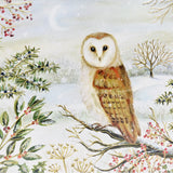 Barn Owl in Winter Deluxe Boxed Holiday Cards